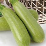 Кабачок Арал