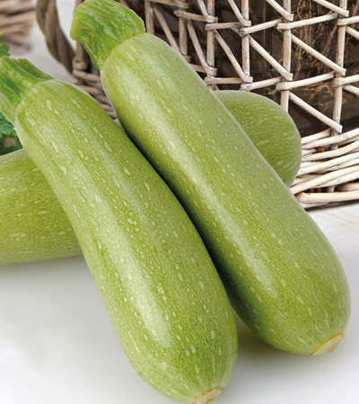 Кабачок Арал